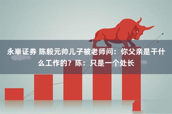 永崋证券 陈毅元帅儿子被老师问:你父亲是干什么工作的?陈:只是一个处长