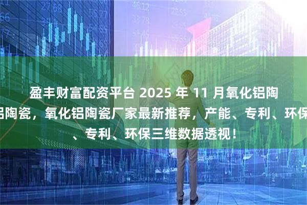盈丰财富配资平台 2025 年 11 月氧化铝陶瓷，江苏氧化铝陶瓷，氧化铝陶瓷厂家最新推荐，产能、专利、环保三维数据透视！