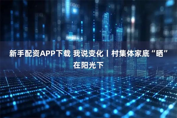 新手配资APP下载 我说变化丨村集体家底“晒”在阳光下