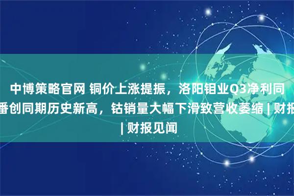 中博策略官网 铜价上涨提振,洛阳钼业Q3净利同比翻番创同期历史新高,钴销量大幅下滑致营收萎缩 | 财报见闻