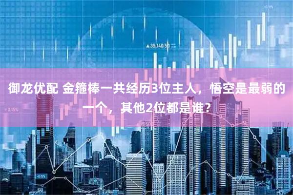 御龙优配 金箍棒一共经历3位主人，悟空是最弱的一个，其他2位都是谁？